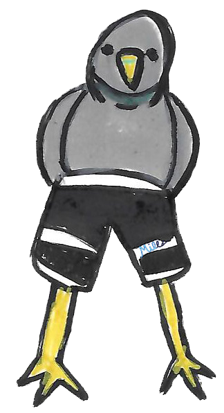 BirdMan w WhiteBorder