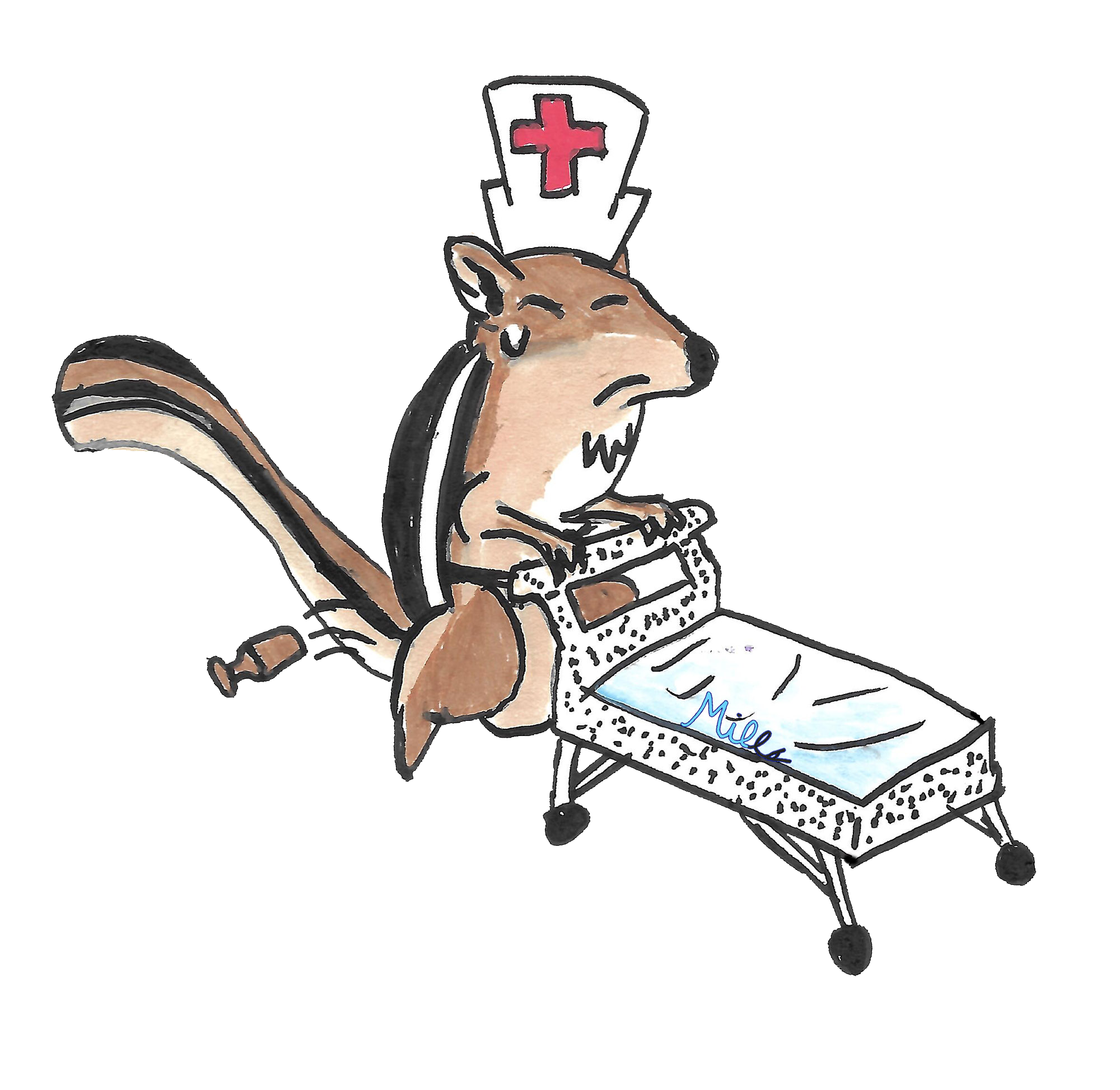 ChipmonkNurse